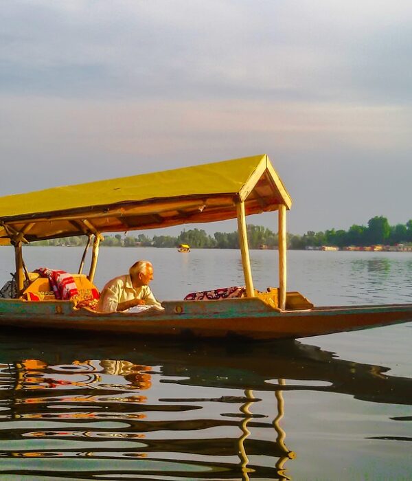 Dal Lake sightseeing tour