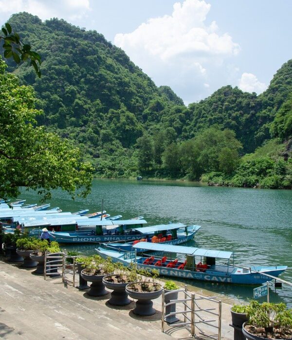 Nature tour Phong Nha